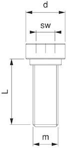 Inbusbolzen für Kraftspanner