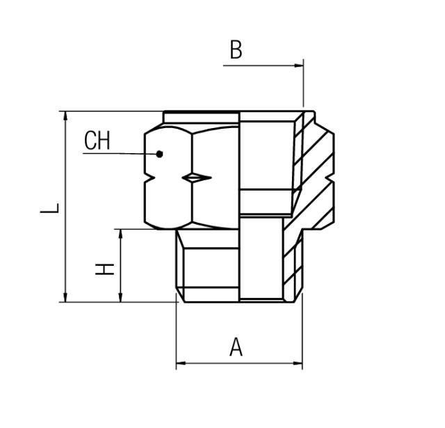 Adapter Nippel NPT - BSPP